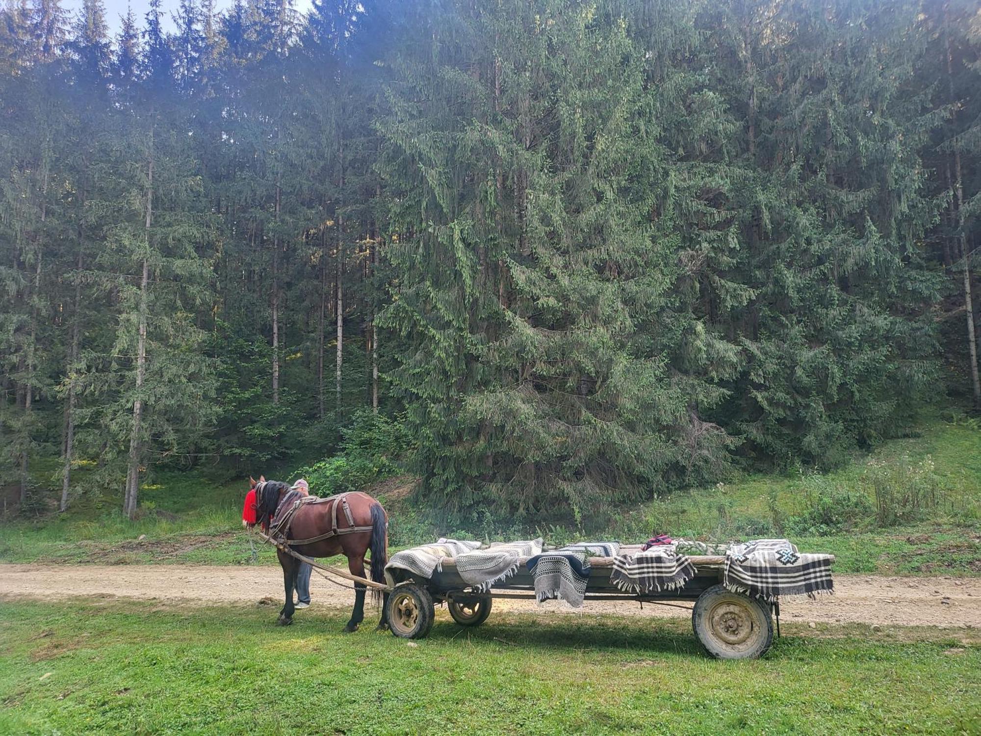 Soimii Bucovinei Residence Vatra Moldoviţei Esterno foto